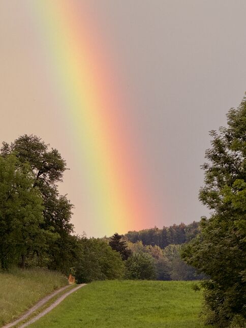 Das regnerische Wetter führte hin und wieder zur Entstehung eines Regenbogens wie hier am 22. Mai in Hallwil AG.